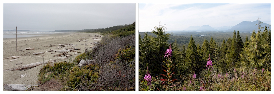 pacific rim national park
