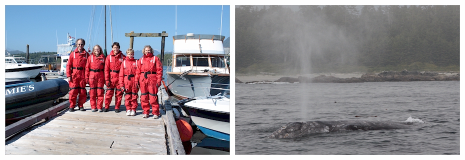 whale watching