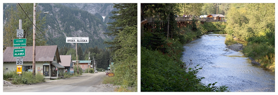 hyder alaska / fish creek wildlife site