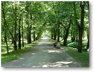 parkallee im peterhof (petrodvorets) bei sankt petersburg, RU