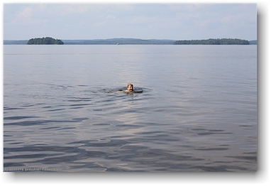 mathias schwimmt im paeijaenne im nationalpark paeijaenteen kansallispuisto in der naehe von heinola, FI