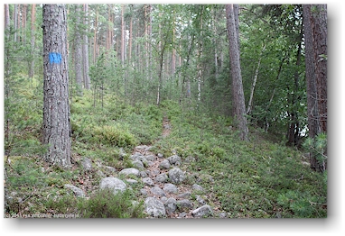 pfad im nationalpark paeijaenteen kansallispuisto in der naehe von heinola, FI