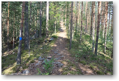 pfad ueber den wall im nationalpark paeijaenteen kansallispuisto in der naehe von heinola, FI