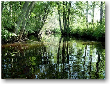 auf dem fluss polvijoki mitten durch den einsamen wald, teil der eichhoernchen-route (oravareitti) zwischen juva und sulkava, FI