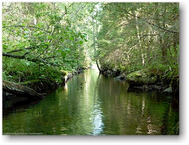 schmaler, ehemaliger floesser-kanal, teil der eichhoernchen-route (oravareitti) zwischen juva und sulkava, FI