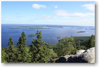 blick vom akka-koli auf den pielinen im nationalpark kolin kansallispuisto, FI