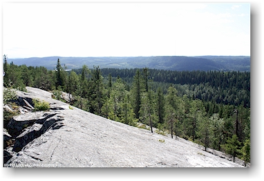 blick vom akka-koli richtung sueden im nationalpark kolin kansallispuisto, FI