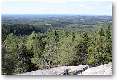 blick vom akka-koli richtung nordwesten im nationalpark kolin kansallispuisto, FI