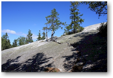 paha-koli im nationalpark kolin kansallispuisto, FI