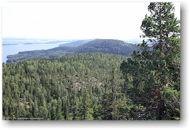 blick vom paha-koli richtung suedosten im nationalpark kolin kansallispuisto, FI