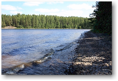 am ufer des pielinen im nationalpark kolin kansallispuisto, FI