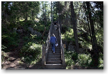 treppe vom besucherzentrum richtung ukko-koli im nationalpark kolin kansallispuisto, FI