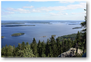 blick vom ukko-koli auf den pielinen im nationalpark kolin kansallispuisto, FI