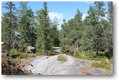 felsiger wanderweg im nationalpark kolin kansallispuisto, FI