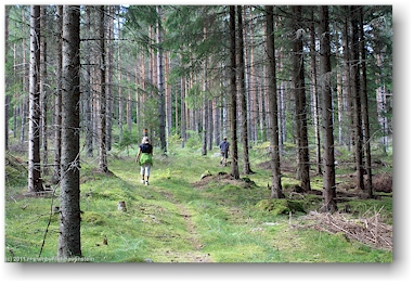 susanne und mathias auf einem waldweg am ufer des oevre foellingen bei pinnarp, SE
