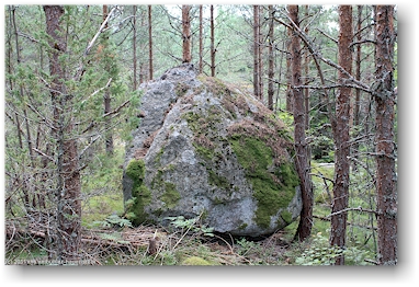 einzelner felsblock im wald am ufer des oevre foellingen bei pinnarp, SE