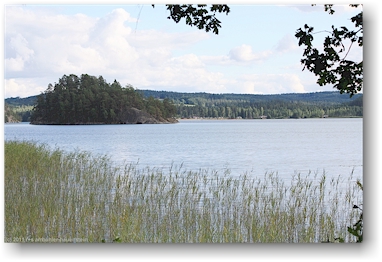 schilfbewachsenes seeufer des oevre foellingen bei pinnarp, SE