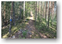 wanderweg im nationalpark paeijaenteen kansallispuisto