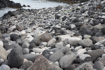 rundgeschliffene steine an der kueste bei hellnar