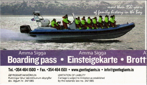 gentle giants boarding pass