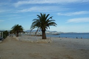 palmen am strand.