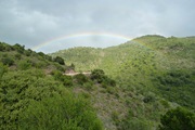 intensiver regenbogen.