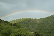intensiver regenbogen.