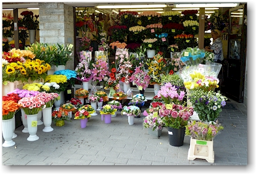 blumenladen beim eingang zur altstadt von tallinn