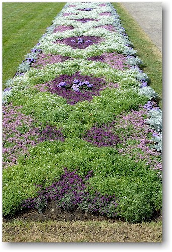 blumenbeet im kadrioru park in tallinn