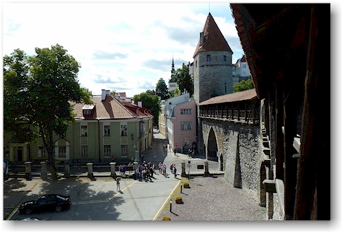 stadtmauer mit nunna torn in tallinn