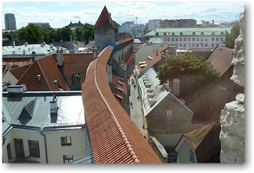 stadtmauer bei der mueuerivahe in tallinn