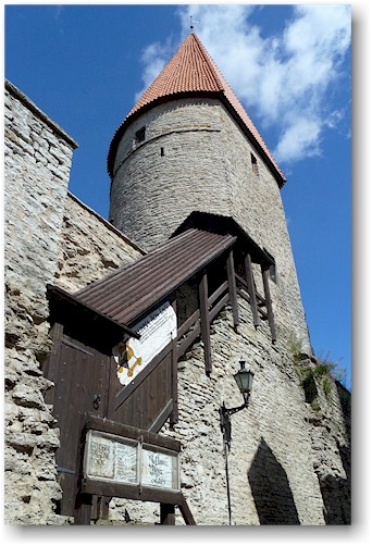 wehrturm in der stadtmauer um die altstadt von tallinn