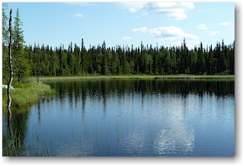 pekanjaervi im nationalpark pallas-yllaestunturin, FI