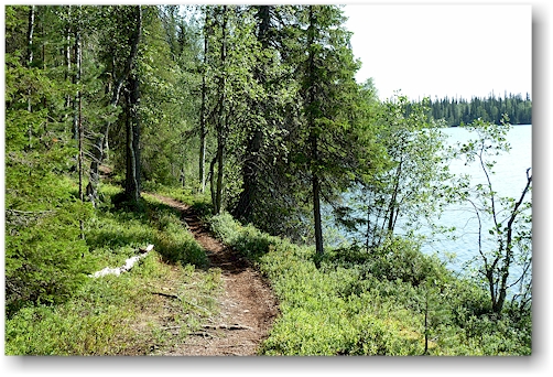 uferwanderweg entlang des pyhaejaervi im nationalpark pallas-yllaestunturin, FI