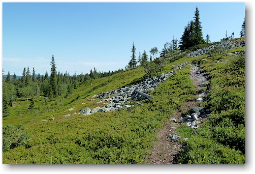 wanderweg zum vareslaki nahe der waldgrenze auf 400 m.ue.m. im nationalpark pallas-yllaestunturin, FI