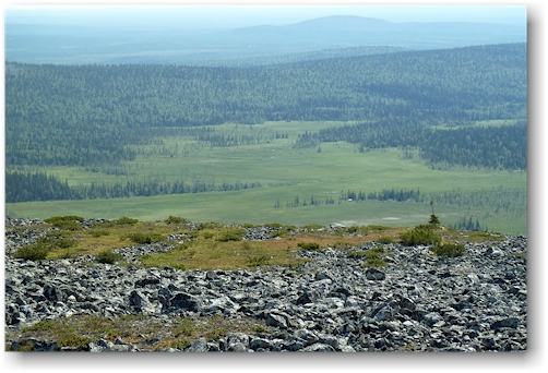 blick vom pallilaki im nationalpark pallas-yllaestunturin, FI
