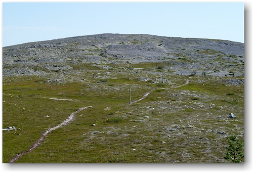 blick vom vareslaki auf den vermeintlichen gipfel des pallilaki im nationalpark pallas-yllaestunturin, FI