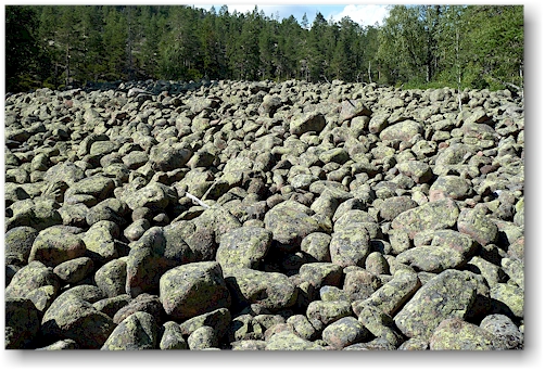 groellhalde im slattdalen im skuleskogens nationalpark