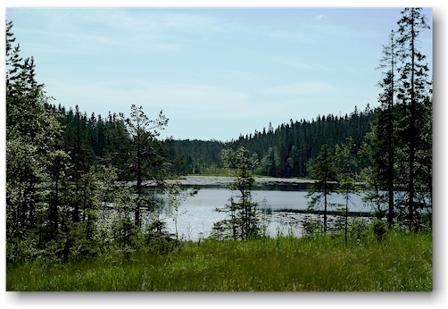 langtjaernen im skuleskogens nationalpark