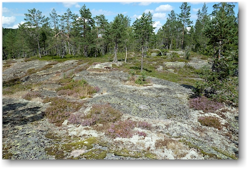 stampberget im skuleskogens nationalpark