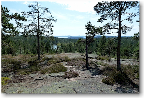 stampberget im skuleskogens nationalpark