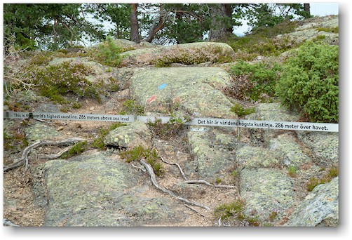ehemalige kuestenlinie im skulebergets naturreservat
