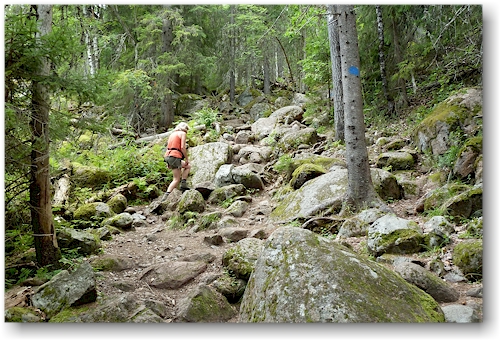 wanderweg im skulebergets naturreservat