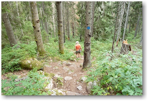 wanderweg im skulebergets naturreservat
