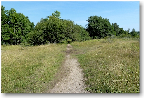 wanderweg ueber offenes feld im kinnekulle naturreservat bei haellekis, SE
