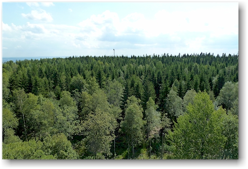 aussicht vom kinnekulle tornet richtung osten