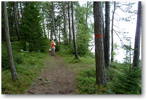uferweg am vaenern im kinnekulle naturreservat bei haellekis, SE