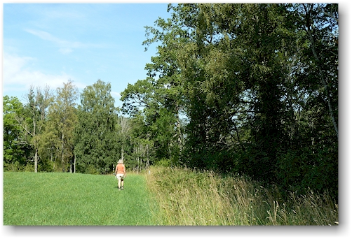 wanderweg ueber ein offenes feld im kinnekulle naturreservat bei haellekis, SE