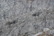 (südtirol, 15.10.2014)