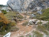 (südtirol, 15.10.2014)
